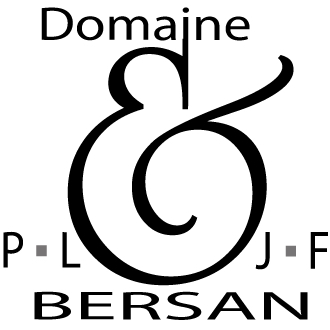 logo-domainebersan.com